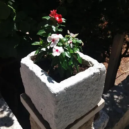 Apartamento White House - Two Bedroom With Terrace 1 Supetar